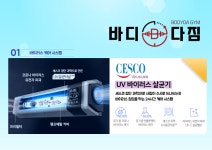 바디다짐