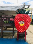 딸기삼촌농장