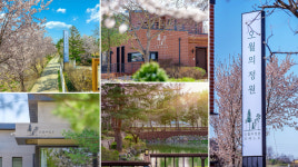 오월의정원포레스트