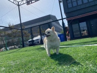 에피립토 풋볼클럽