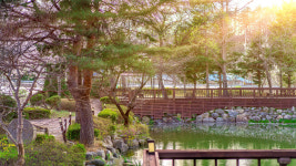 오월의정원포레스트