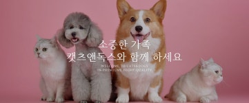 캣츠앤독스 강아지분양 고양이분양 수원점