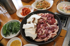 황금생오리