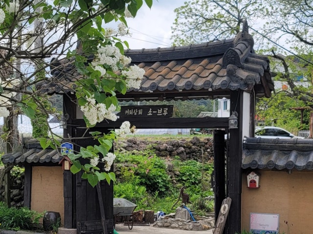 소브루