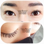 신데렐라아미솔루션 본점