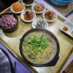 담수담