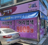 구피샵 보령점