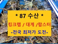 무진수산중매인401번 | 수산중도매인87번