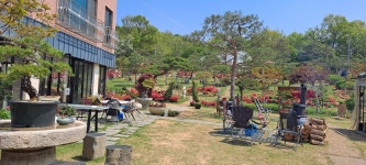 파인트리하우스