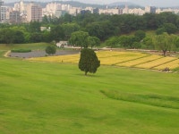 JS파크리오공인중개사사무소