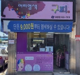구피샵 보령점