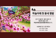 하늘아래첫동네꿩밭