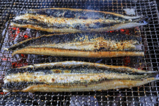 신내참숯장어구이