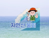막썰어횟집