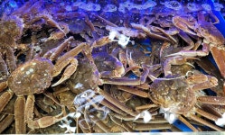 수산중도매인87번