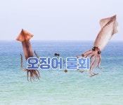 막썰어횟집