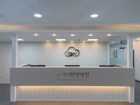 스카이한방병원