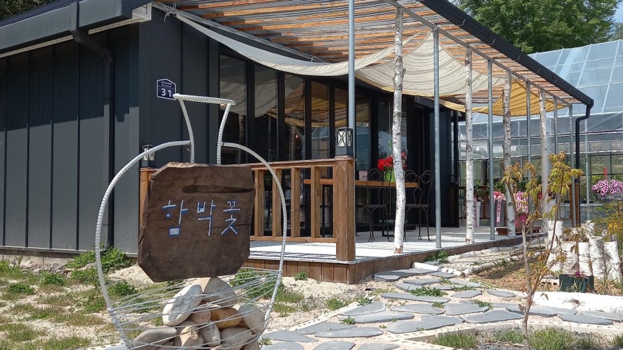 함박꽃