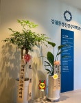 강철중정신건강의학과의원