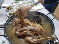 안면토종닭