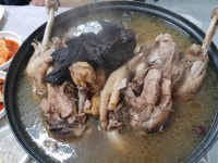 안면토종닭
