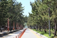 율포오토캠핑리조트