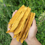 버섯놀이터 변산농장