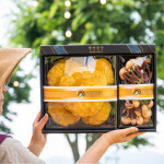 버섯놀이터 변산농장