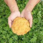 버섯놀이터 변산농장