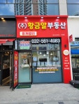 황금알부동산중개법인