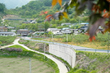 곤충나라 사과테마파크 오토캠핑장
