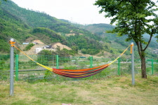 곤충나라 사과테마파크 오토캠핑장