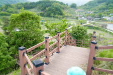 곤충나라 사과테마파크 오토캠핑장