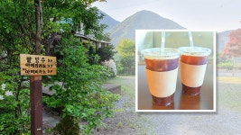 테마하우스도현펜션