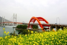 한국기술사학원