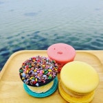 망고레이 애월직영점