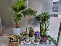 최정옥헤어&칼라