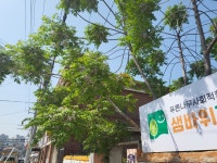푸른나무사회적협동조합 샘바위지역아동센터