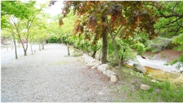 백년펜션&캠핑장