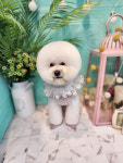 메리몰펫샵 본점