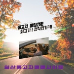 일산중고차매매 유성모터스