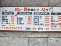 배통시