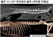 쿨펫동물병원 이마트검단점
