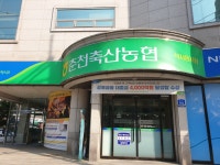 춘천축산농협 석사동지점