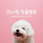 미사랑동물병원