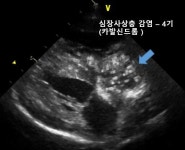 쿨펫동물병원 이마트검단점