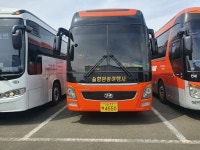 솔향관광여행사