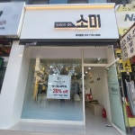살롱 드 소미