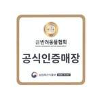 펫퍼스트 24시 강아지분양 고양이분양 인천본점