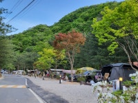 산정호수돌고래캠핑장